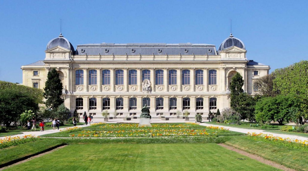 MUSEUM D'HISTOIRE NATURELLE - PARIS